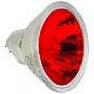 12V 8w Red/Amber Bulb